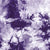 Tie & Dye Purple